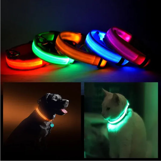 Modern Luxury LED Pet Collar Waterproof Halo Style FCJ Elegant Cat and Dog Leash for Cats and Dogs