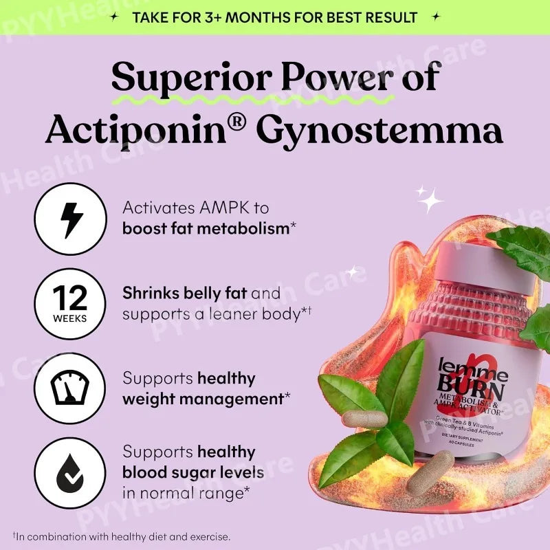 MetaActiv AMPK Support — Gynostemma + B-Vitamin Complex