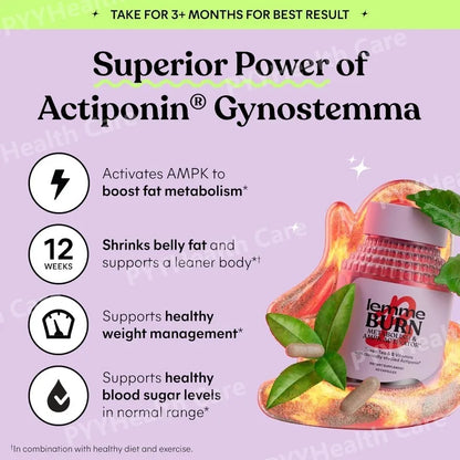 MetaActiv AMPK Support — Gynostemma + B-Vitamin Complex