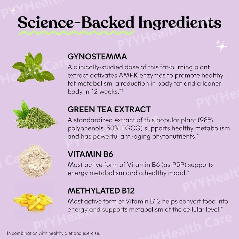 MetaActiv AMPK Support — Gynostemma + B-Vitamin Complex