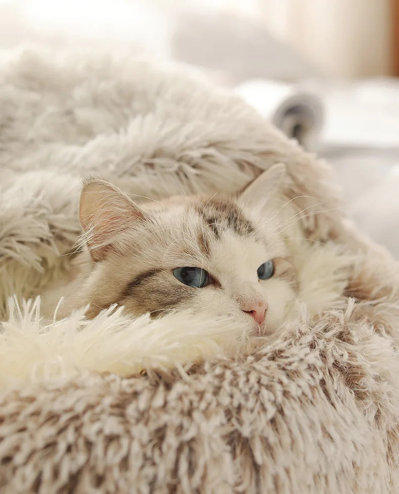 Cuddle Cloud -pet bed ✨  — The Softest Place Your Pet Will Ever Call Home