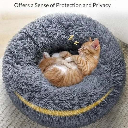 Comfy round,